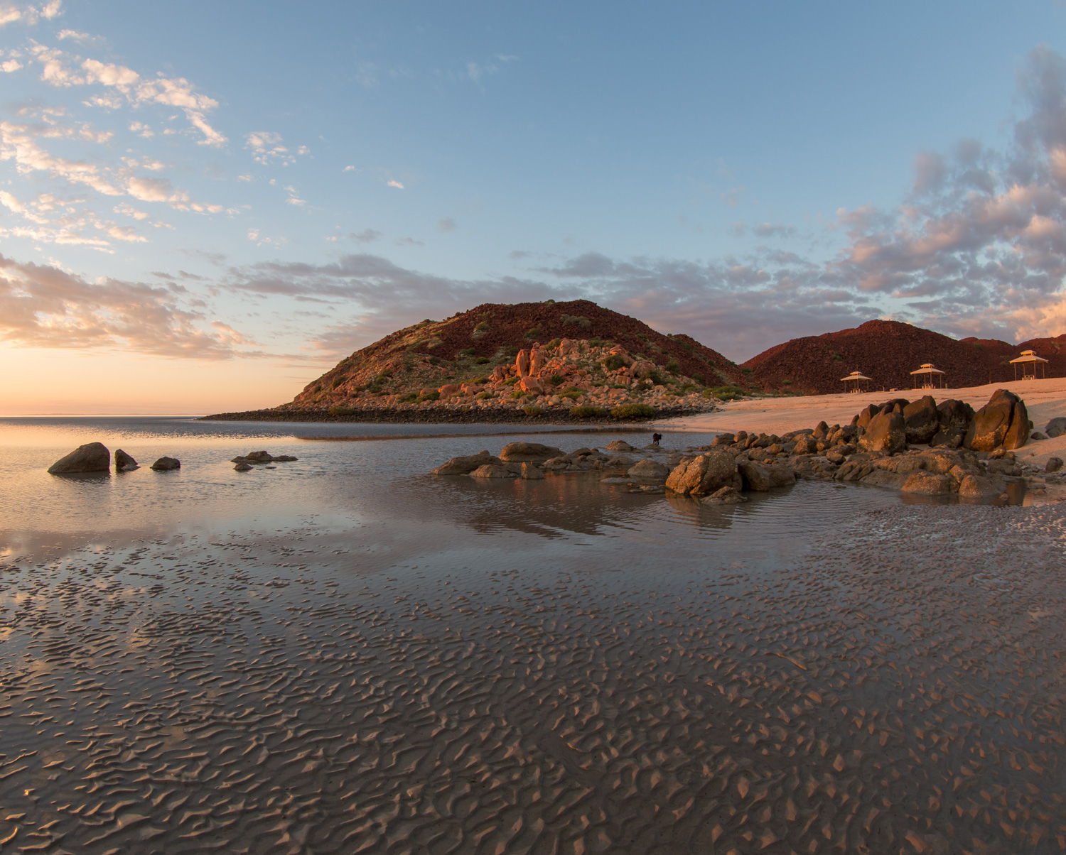 Hearson Cove is a small beach with mudflats that are exposed at low tide