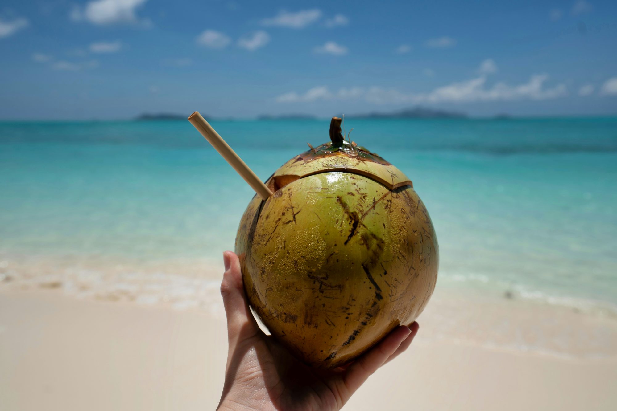 Someone holding a coconut at the beach